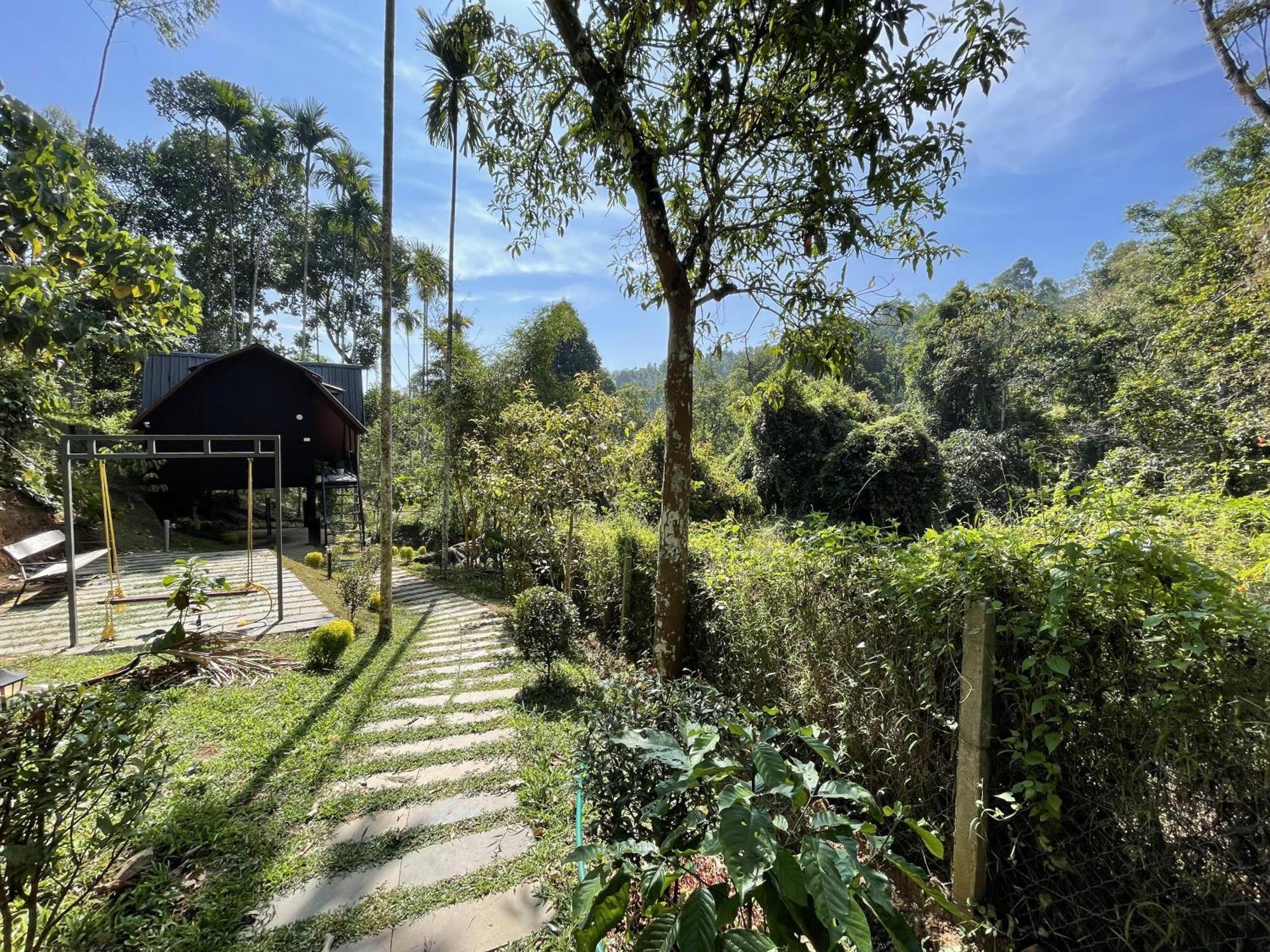 Wetlands Wayanad Pool Resort With Natural Waterfalls Padinjarathara Luaran gambar