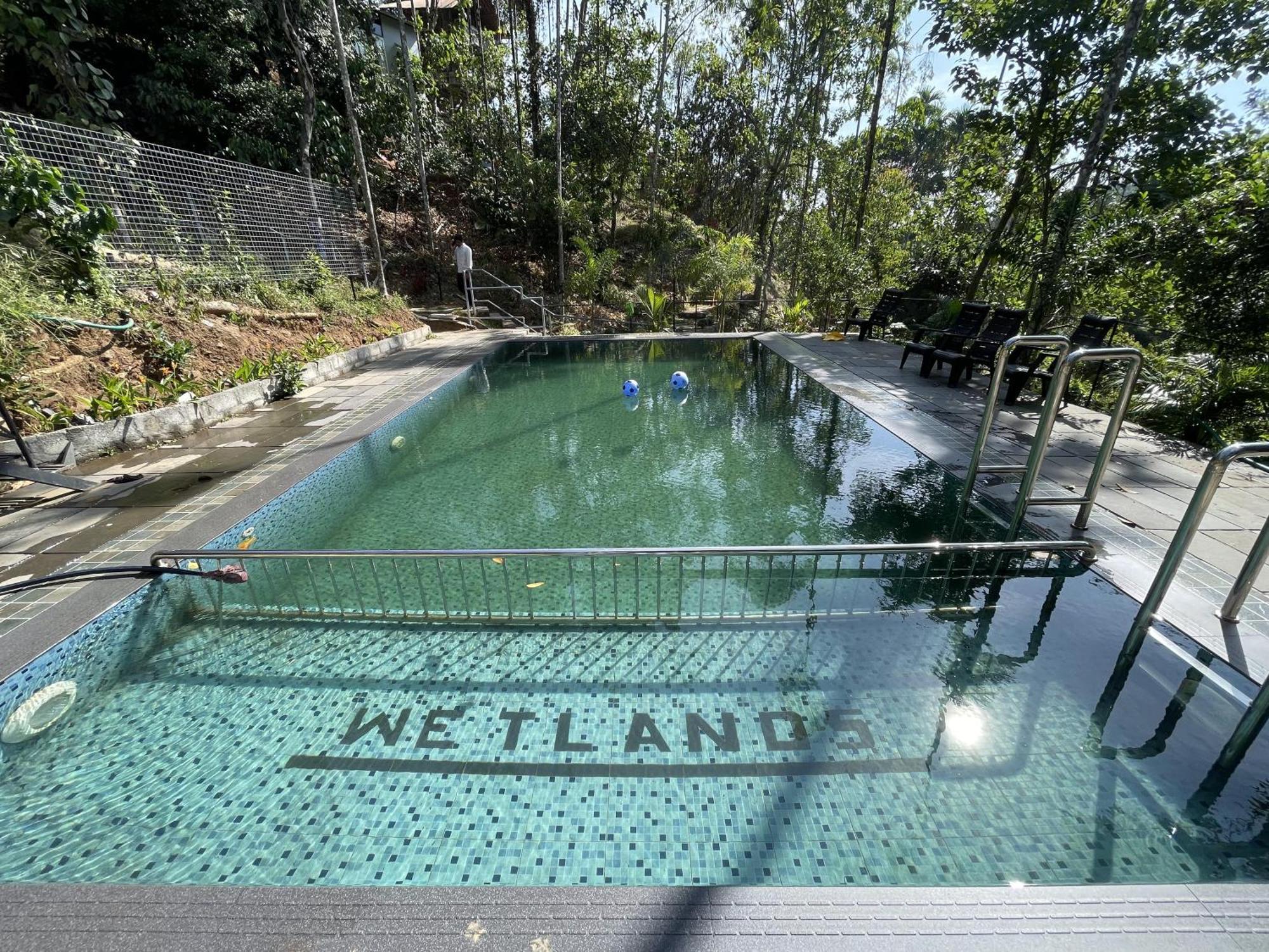 Wetlands Wayanad Pool Resort With Natural Waterfalls Padinjarathara Luaran gambar