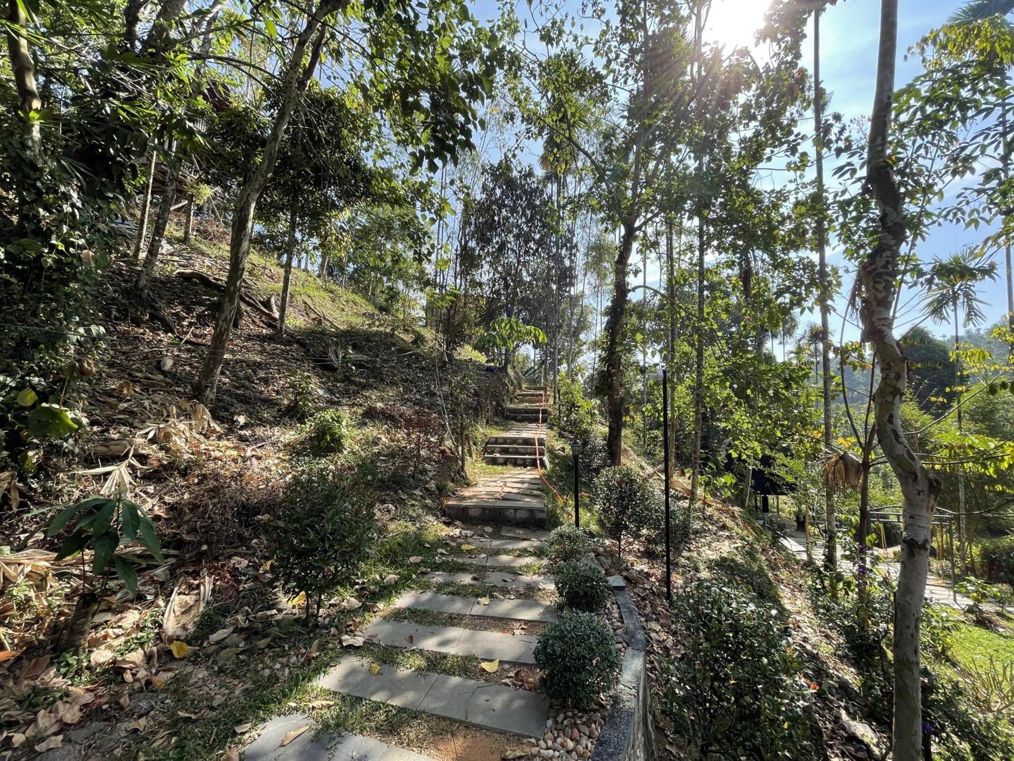 Wetlands Wayanad Pool Resort With Natural Waterfalls Padinjarathara Luaran gambar