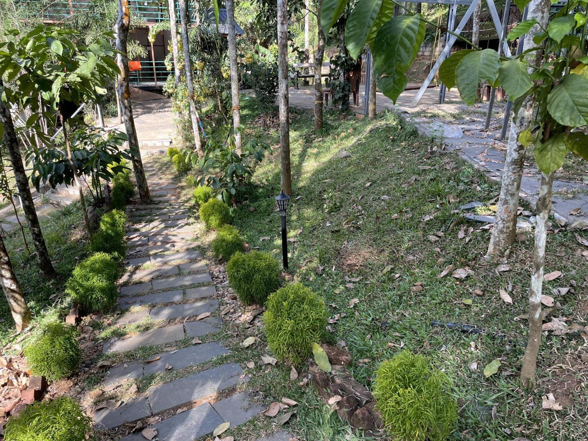 Wetlands Wayanad Pool Resort With Natural Waterfalls Padinjarathara Luaran gambar