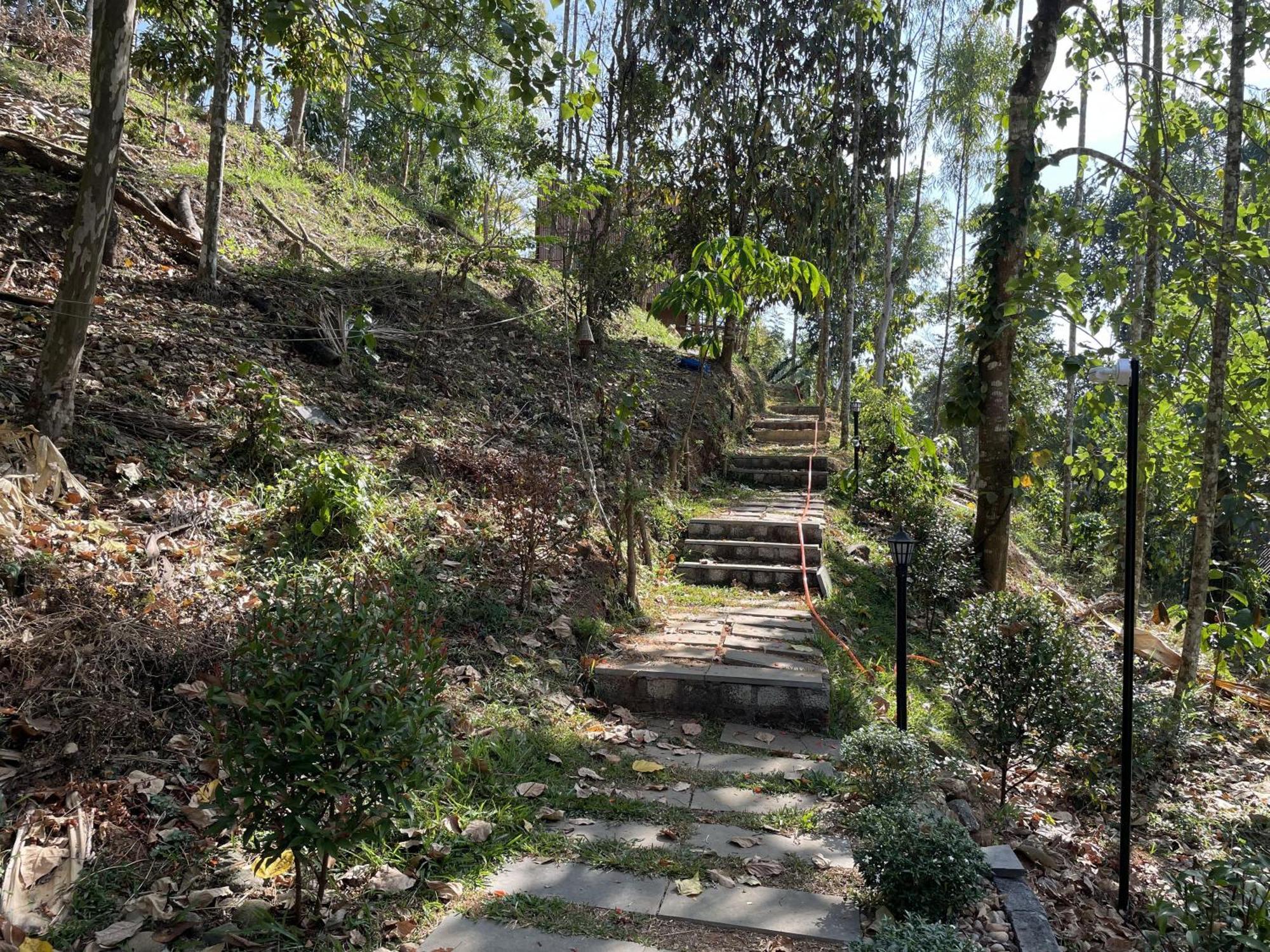 Wetlands Wayanad Pool Resort With Natural Waterfalls Padinjarathara Luaran gambar